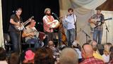 The Fuchsia Band