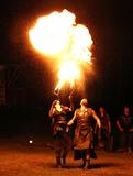 RAW Primal Performers